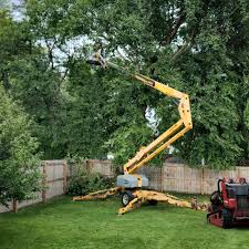 Best Lawn Pest Prevention  in Menomonie, WI