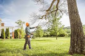 How Our Tree Care Process Works  in  Menomonie, WI